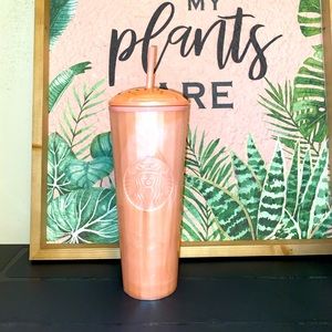 🎀 Creamsicle Dome 🎀 NWT